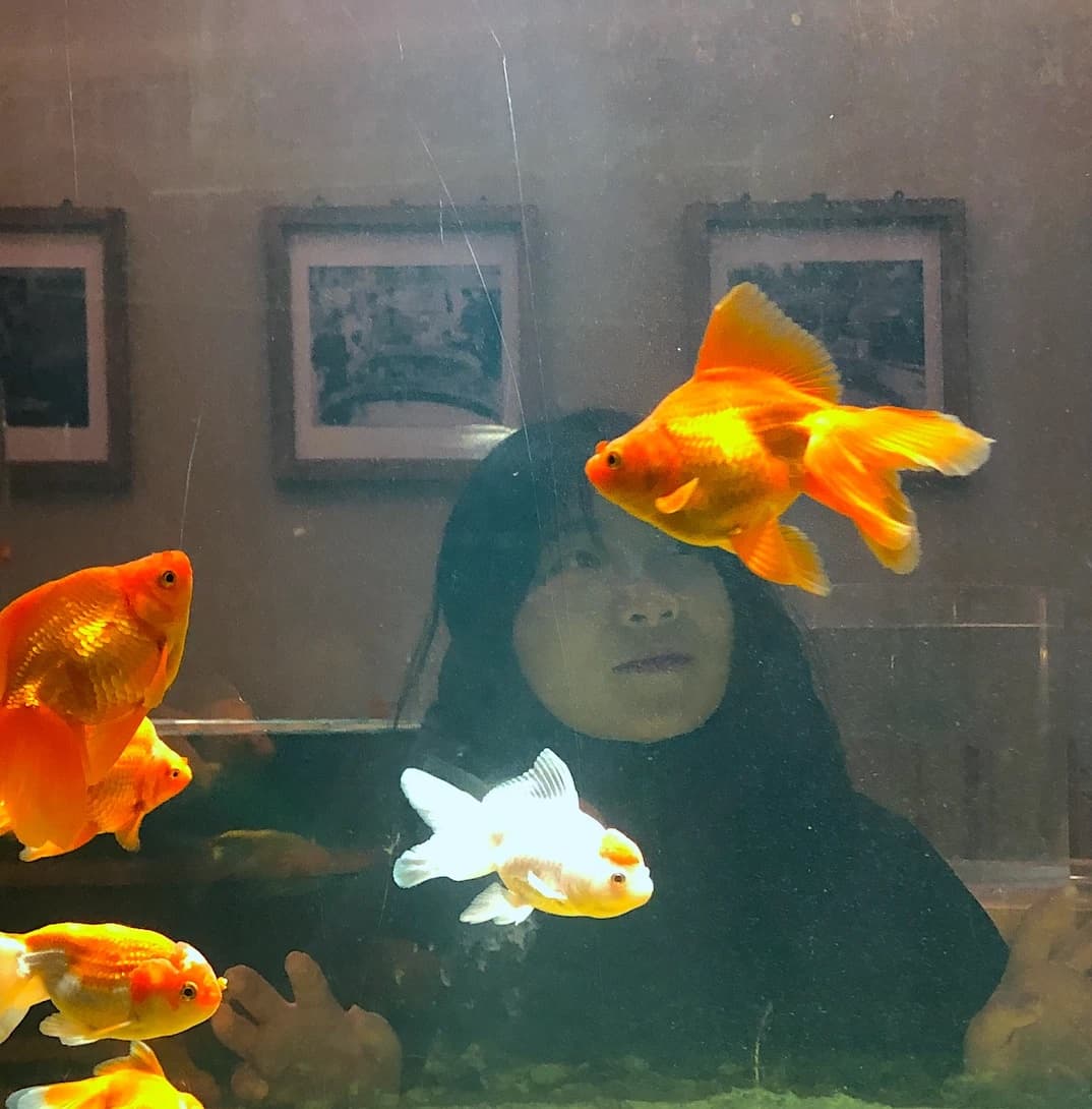 Sherry watching goldfish through the glass of an aquarium tank, an orange fancy goldfish swimming past her face